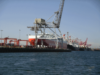 Fremantle7.gif