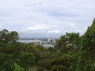 Kingspark4.gif