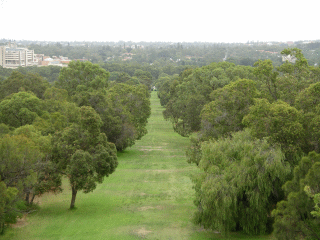 Kingspark7.gif