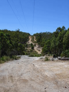 wandoo1.gif