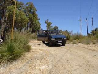 wandoo2.gif