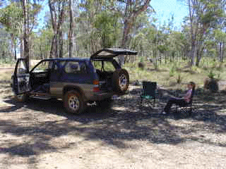 wandoo4.gif